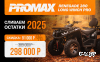 Квадроцикл PROMAX RENEGADE 280 LONG WINCH PRO (2025)