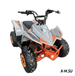 Квадроцикл MOTORHEAD IronFist 2025