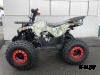 Квадроцикл WELS Thunder 125 E1 PRO-SPORT