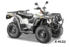 Квадроцикл STELS ATV 600 YL LEOPARD