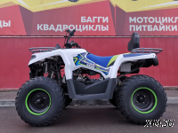 Квадроцикл PROMAX RENEGADE 280 (2025)