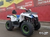 Квадроцикл PROMAX RENEGADE 300 LUX