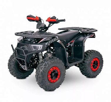 Квадроцикл  YACOTA SIRIUS 110			 			