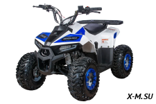 Квадроцикл Yacota Raposa 130 PRO-SPORT