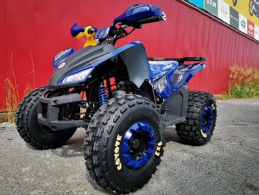 Квадроцикл MOTOLAND (МОТОЛЕНД) 125 COYOTE PRO