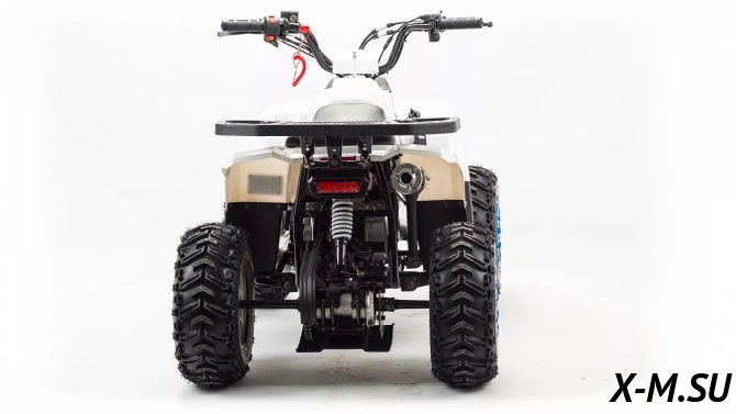 Квадроцикл MOTOLAND (МОТОЛЕНД) 110 EAGLE