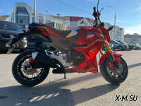 Мотоцикл PROMAX STRYKER 150(49) 2.0